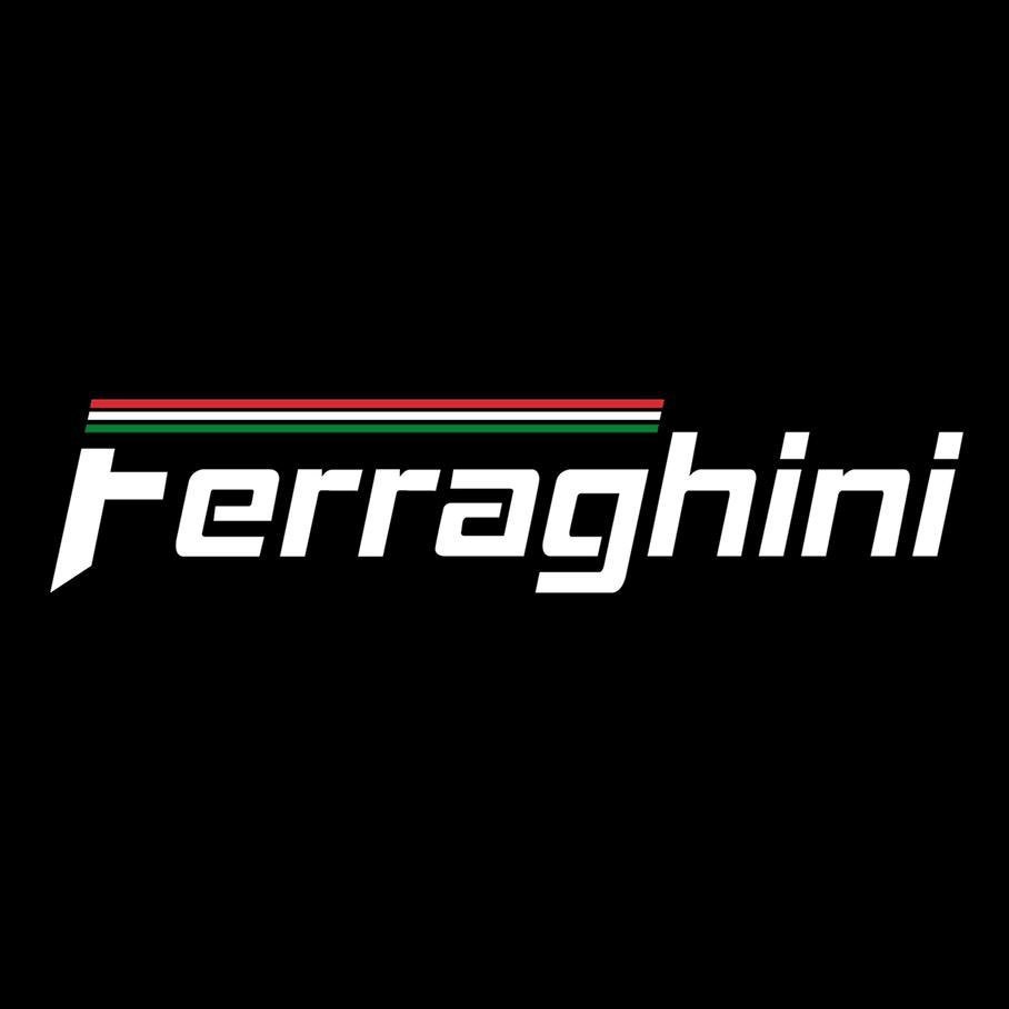 Ferraghini International — 28K followers, 0.4% engagement | Ikaroa ...