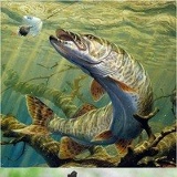 охота рыбалка