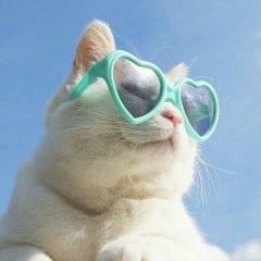 Обои на телефон