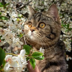 C h a r m é | Вдохновение