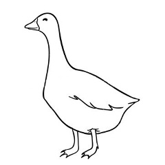 контур гуся
