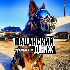 Пацанский Движ