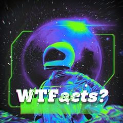 WTFacts?