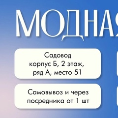 Модная Одежда Корпус Б 2 этаж ряд А место 51