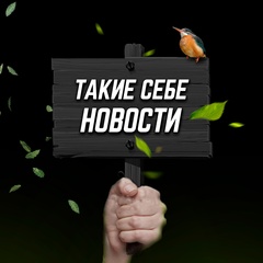 Такие себе