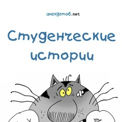 Студенческие истории