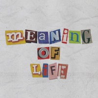 meaning of life