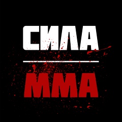 UFC / ONE FC / PFL