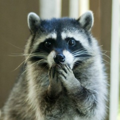 СОВЕТОВ МНЕ