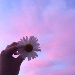 Цветок души 🌸