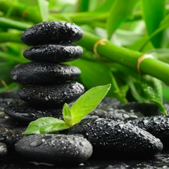 ЗДОРОВЬЕ по-Фэншую