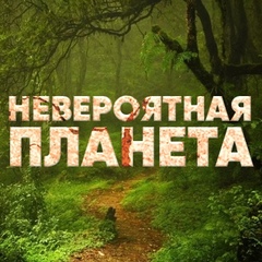 Невероятная планета