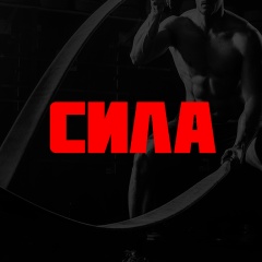 СИЛА