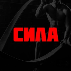 СИЛА