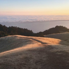 биохимическая любовь