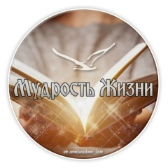 Мудрость жизни