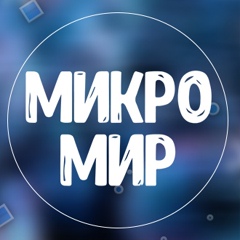 Микромир