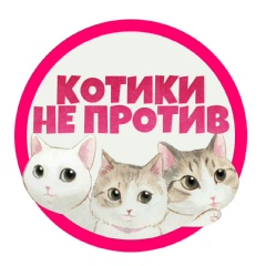 Котики не против