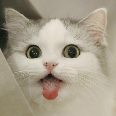 Подростковые пикчи