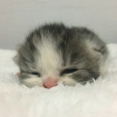 картиночки для романтики