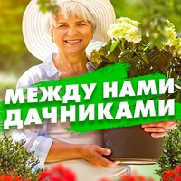 Между нами, дачниками