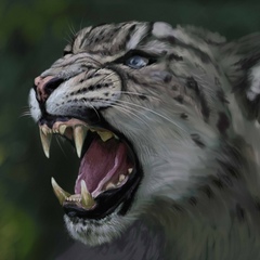 Дикая Планета