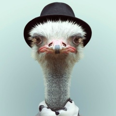 Юморная минутка