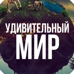 УДИВИТЕЛЬНЫЙ МИР