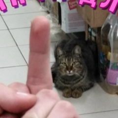 пикчи для токсиков