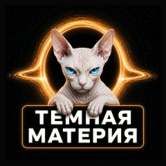 Темная материя