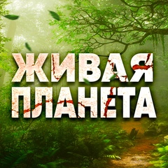 Живая планета