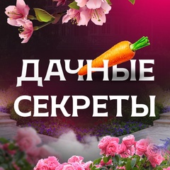 Дачные секреты | Идеи и советы