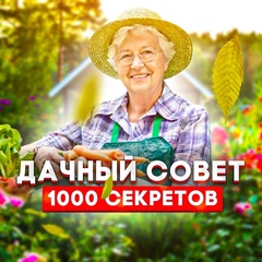 Дачный совет | 1000 секретов