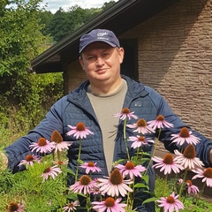 Сад Дмитрия forumsad Плодовые и декоративные РБ