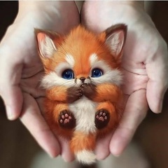 Наука о животных