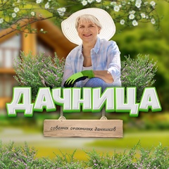 Дачница