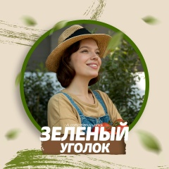 Зеленый уголок