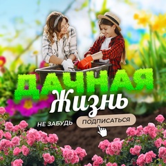 Дачная жизнь