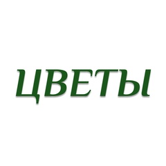 Домашние цветы | Комнатные растения!