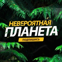 Невероятная планета