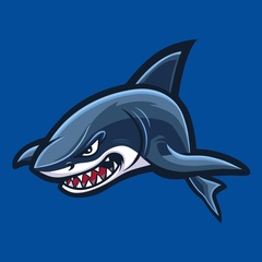 AutoShark - Сеть магазинов автоаксессуаров