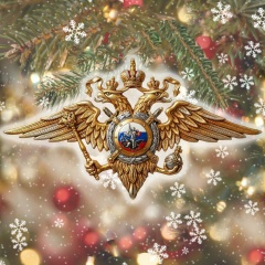 Министерство внутренних дел Российской Федерации