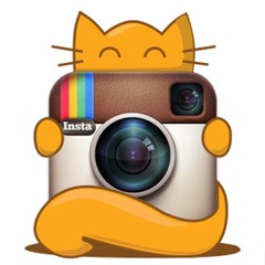 INSTAGRAM КОТИКИ