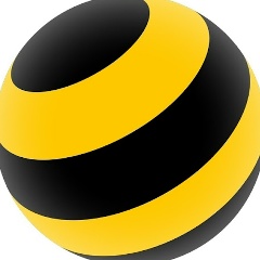 билайн Россия