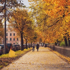 Санкт-Петербург