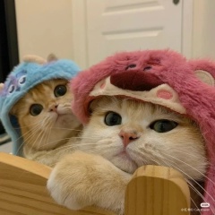 Взаимные лайки