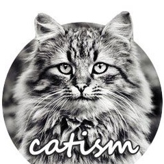 Котизм