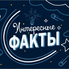 Интересные Факты