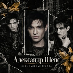 АЛЕКСАНДР ШЕПС OFFICIAL GROUP
