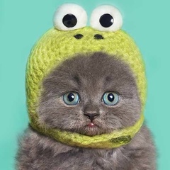 Котик в жёлтой вязаной шапочке с глазами